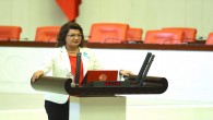 CHP Milletvekili Suzan Şahin: Zeytin ağaçları kesilerek arazi yandaşlara peşkeş çekilecek!