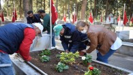 Hatay Büyükşehir Belediyesi İskenderun’daki Şehit Mezarlarını çiçek bahçesine dönüştürdü!
