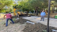 Antakya Belediyesi ağaç budama ve parklarda bakım çalışmalarını sürdürüyor