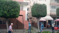 Hatay Büyükşehir Belediyesinden ağaç budama çalışması