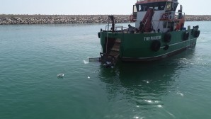 Hatay Büyükşehir Belediyesi’nden  Deniz ve kıyılardaki  temizlik çalışmalarına  devam