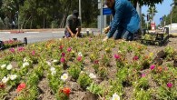 Hatay Büyükşehir Belediyesi Hatay’ı Rengarenk çiçeklerle donatıyor