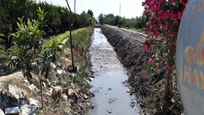 Hatay Büyükşehir Belediyesi Dere temizliğine önem veriyor