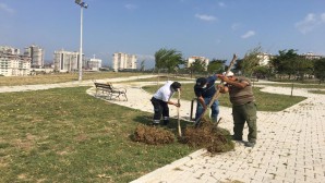 Antakya Belediyesi’nin ağaçlandırma  çalışmaları tam gaz