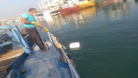 Hatay Büyükşehir Belediyesinden Deniz  ve kıyılardaki temizlik çalışmalarına devam ediyor