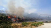 Hatay Büyükşehir Belediyesi Orman yangınlarına hızla müdahale ediyor