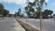 Hatay Büyükşehir Belediyesi Yeşil alanları arttırıyor