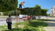 Hatay Büyükşehir Belediyesi Park Bahçe ekibi çalışmalarını sürdürüyor