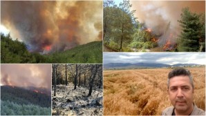 Hatay Tabiatı Koruma Derneği Başkanı Abdullah Öğünç: Ormanlar gibi biz de yangınla yaşamaya uyum sağlamalıyız
