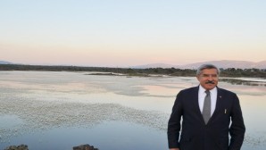 AKP Hatay Milletvekili Hüseyin Yayman: 50 yıl sonra kuşlar yuvasına döndü