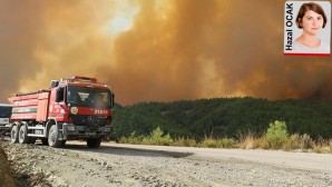 Çarpıcı Hatay orman yangını raporu: Arıza bilindiği halde giderilmemiş