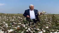 CHP Hatay Milletvekili İsmet Tokdemir:  Pamuk üreticisi bu yıl da mağdur, hasadını yapıyor ancak kazancı borçlarını karşılamıyor