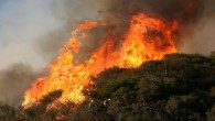 Hatay Büyükşehir Belediyesi itfaiyesinden yangınlara anında müdahale