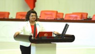 CHP Hatay Milletvekili Suzan Şahin: Hükümet Yangınlar terör eylemidir diyemiyor!
