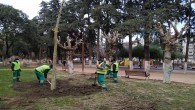 Hatay Büyükşehir Belediyesi Ağaçlandırma çalışmalarını sürdürüyor
