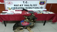 Jandarma’dan uyuşturucu tacirlerine operasyon: 6 kişi tutuklandı