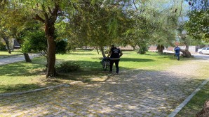 Antakya Belediyesi Parklarda cim biçme ve bakım çalışmalarını sürdürüyor