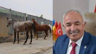 Kayıp Atlar Dörtyol Belediye Başkanı Yaşar Keskin’in MHP’den istifa etmesine neden oldu