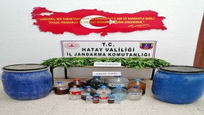 Janadarma Arsuz’da 174 kök kenevir bitkisi ile 115 litre rakı yakaladı