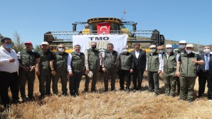 Tarım Bakanı Pakdemirli Amık ovasındaki Buğday hasadına katıldı