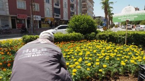 Hatay Büyükşehir Belediyesi Reyhanlı caddelerini yeşillendiriyor
