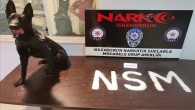 İskenderun ilçesinde Narkotik operasyonu: 6 kişi gözaltına alındı