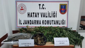 Jandarma Antakya’da 769  kök hint keneviri ile 750 gram esrar ele geçirdi