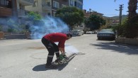 Hatay Büyükşehir Belediyesi’nden Haşere ve Vektör mücadelesine devam
