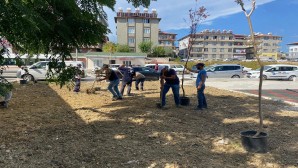 Antakya Belediyesi parklarda ağaçlandırma çalışmalarını sürdürüyor