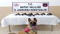 Jandarma Altınözü Hacıpaşa’da 2 silah kaçakçısında 7 tabanca yakaladı