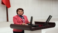 CHP Milletvekili Suzan Şahin, Veterinerlerin 3600 ek gösterge kapsamına alınması için kanun teklifi verdi