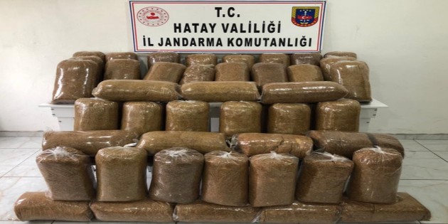 Jandarma Gaziantep’ten Hatay’a getirilmek istenen 250 kilo kaçak tütünü yakaladı