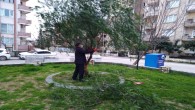Antakya Belediyesi Ağaçlandırma çalışmalarına devam ediyor