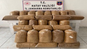 Jandarma piyasa değeri 51.300 lira olan 380 kilo kaçak  tütün yakaladı