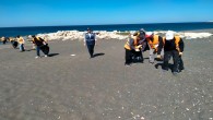 Samandağ Sahili Suriye kaynaklı Deniz kirliliği kalıntılarından temizleniyor!