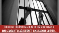 Türk Diş Hekimleri Birliği Hatay Diş Hekimleri Odası, Gezi parkı davasında tutuklanan Yüksek Mimar Mucella Yapıcı’nın ağız ve diş  sağlığı hizmeti alırken kelepçelerin ellerinden  çıkarılmamasına tepki gösterdi