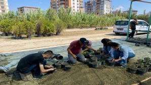 Antakya Belediyesi’nin bitki üretim Merkezinde Fide ekimi yapılıyor