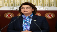 CHP Hatay Milletvekili Suzan Şahin, Demir yumruk operasyonunun Meclis’te araştırılmasını istedi