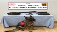 Jandarma’dan Uyuşturucu Madde Operasyonu: 1 kilo esrar, bir tabanca ve bir av tüfeği yakalandı