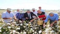 Tarım ve Orman Bakanı Vahit Kirişçi, Hatay’da  pamuk hasadı törenine katıldı