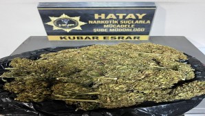 Defne Bahçeköy’de 473 gram esrar yakalandı