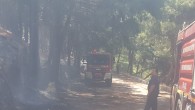 Hatay Büyükşehir Belediyesi İtfaiyesinden  Orman Yangınına anında  müdahale!