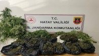 Jandarma Samandağ’da 21 kilo kubar esrar yakaladı