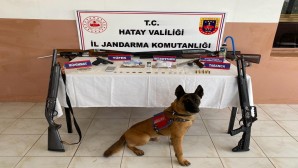 Jandarma Antakya Avsuyu’nda Uyuşturucu, Sikke, Tabanca ve Av Tüfeği yakaladı