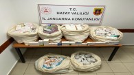 Jandarma Antakya’da Piyasa değeri 3.000.000 lialık ilaç yakaladı