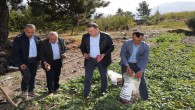 Hatay Büyükşehir Belediyesi’nin Kırsal Kalkınma Projesinde Dört Mevsim Hasat!