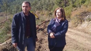 Arsuz Belediyesi Meclisi CHP Grup Başkan Vekili Mehmet Candemir ve  Meclis Üyesi Saadet Berkyürek:   Amanos Dağları’nın Arsuz mevkiinde ağaç kıyımı yaşandı!