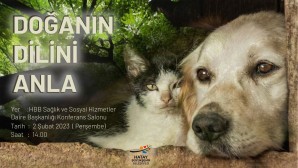 <strong>Hatay Büyükşehir Belediyesi’nden sokak hayvanlarına ve çevre bilinci için önemli proje!</strong>