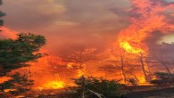 Belen Derebahçedeki Orman yangınına müdahale dev am ediyor