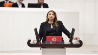 CHP Hatay Milletvekili Nermin Yıldırım Kara: Çek İbraz sürelerini uzatın!